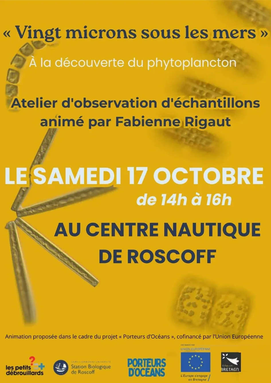 Affiche de l'atelier « Vingt microns sous les mers - À la découverte du phytoplancton » : atelier d'observation d'échantillons animé par Fabienne Rigaut, le samedi 17 octobre de 14 h à 16 h au Centre Nautique de Roscoff. Animation proposée dans le cadre du projet « Porteurs d'Océans », cofinancé par l'Union européenne. Logos des partenaires : les Petits Débrouillards, Station biologique de Roscoff, Porteurs d'Océans, Union européenne, Région Bretagne.